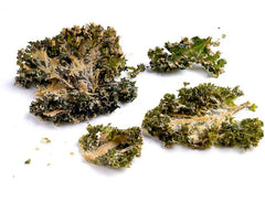 Chips de Kale Orgânico 40g. Colheita